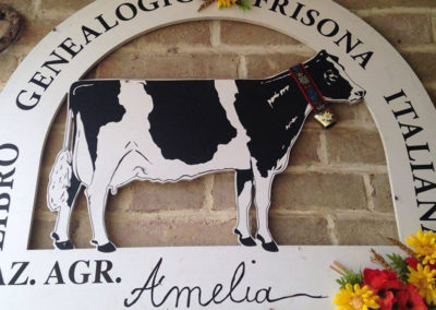 Agriturismo Parma, Fattoria Amelia