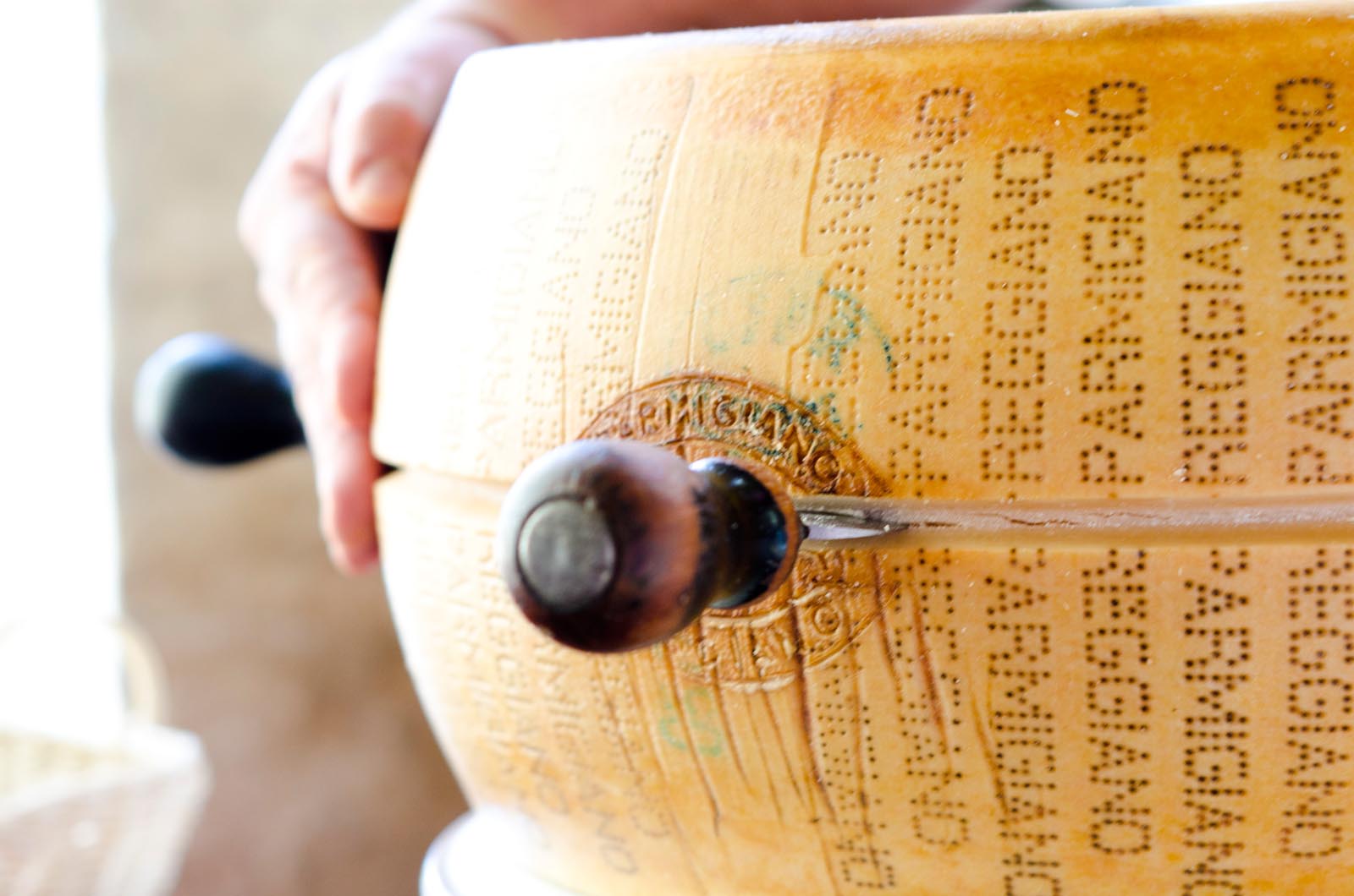 Museo Parmigiano Reggiano