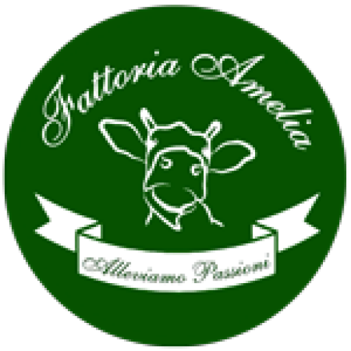 cropped-FATTORIA-AMELIA-150-LOGO.png