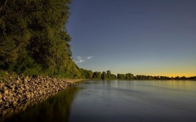 Polesine – Zibello – Fiume Po